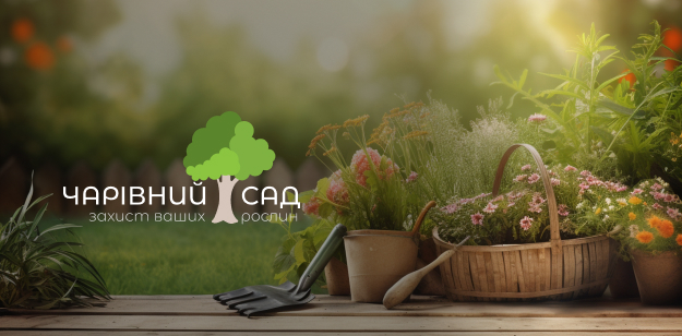 Чарівний сад